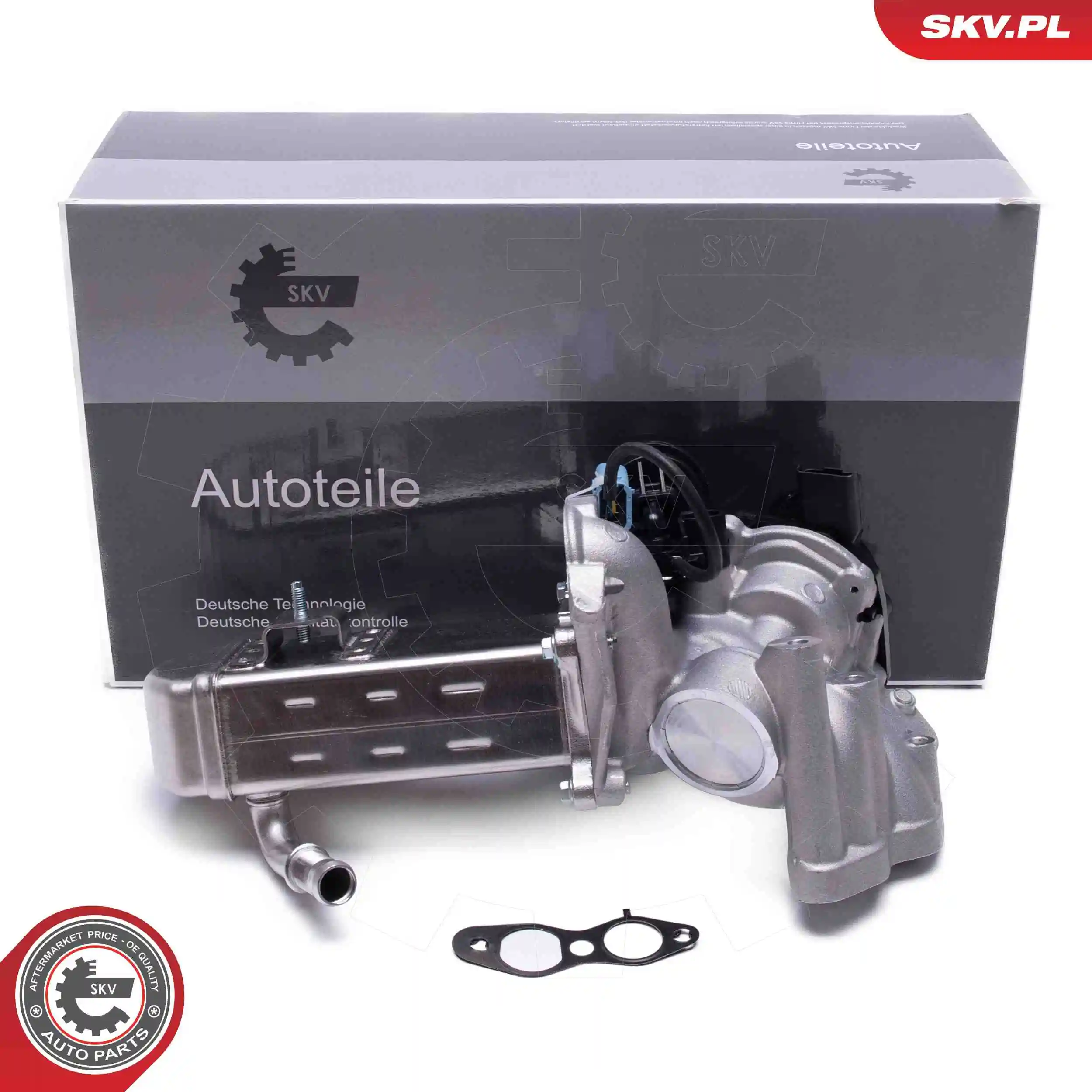 EGR Valve